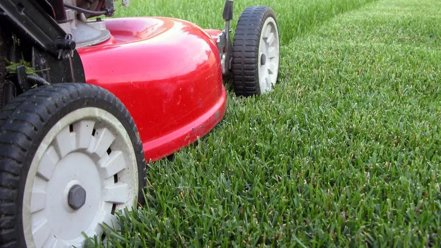 Lawn Maintenance